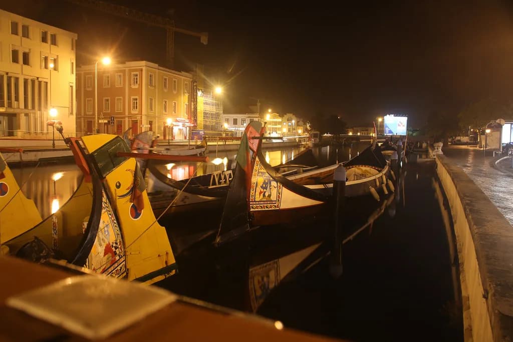 Aveiro Boat Tour: Moliceiro Canal Cruises on the Ria de Aveiro