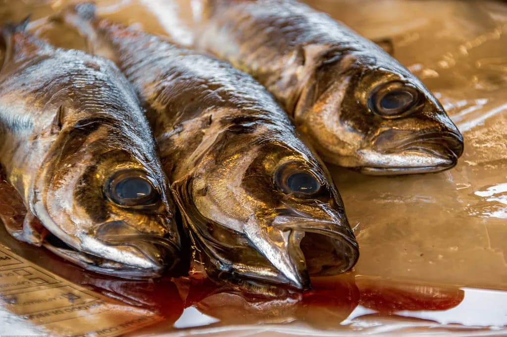 Aveiro Market: Mercado Manuel Firmino and the City's Food Shops