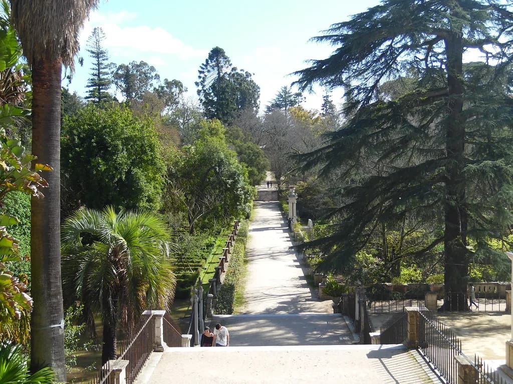 Coimbra Restaurants: Where to Eat in the University City