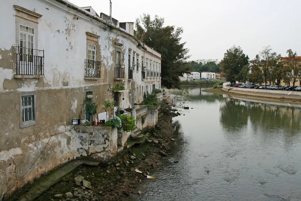 Best Restaurants in Tavira: Where to Eat, by Area and Budget