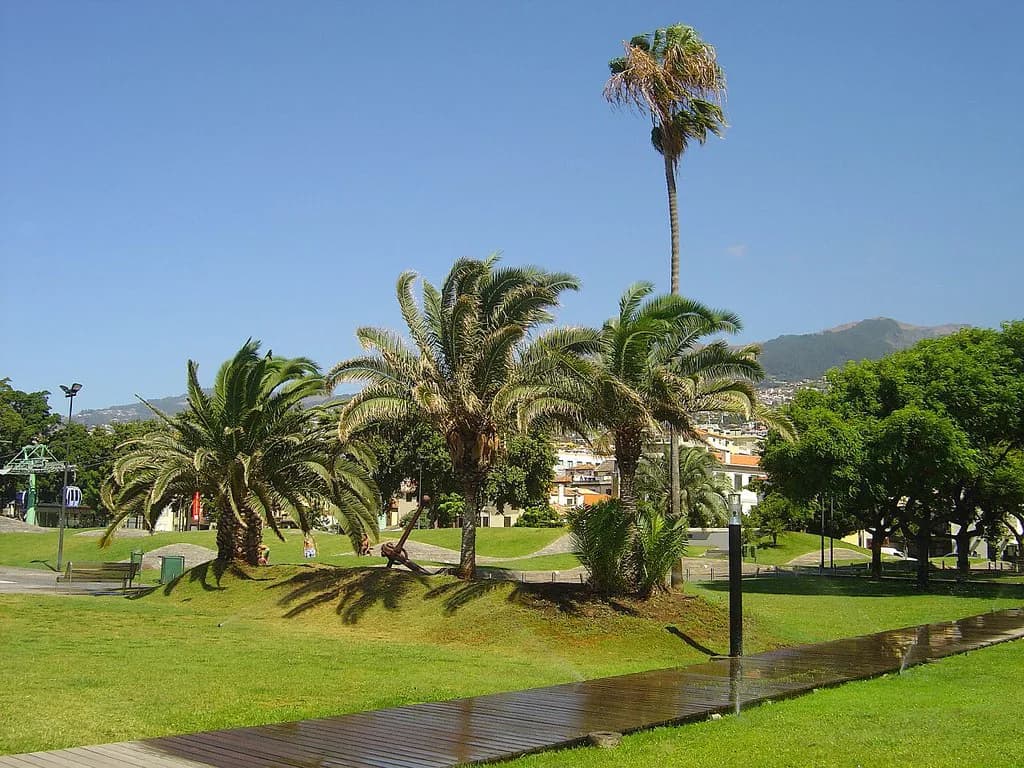 Funchal Bakeries: Where to Stop for Pastries and Coffee