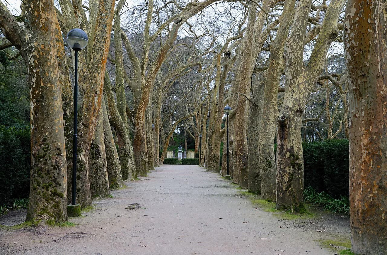 Caldas da Rainha: What to See on a Short Break