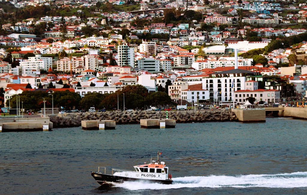 Câmara de Lobos: Fishing Harbour, Churchill Viewpoint & Cabo Girão
