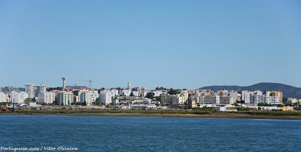 Cheap Eats in Faro: Pratos do Dia, Tascas and Petiscos
