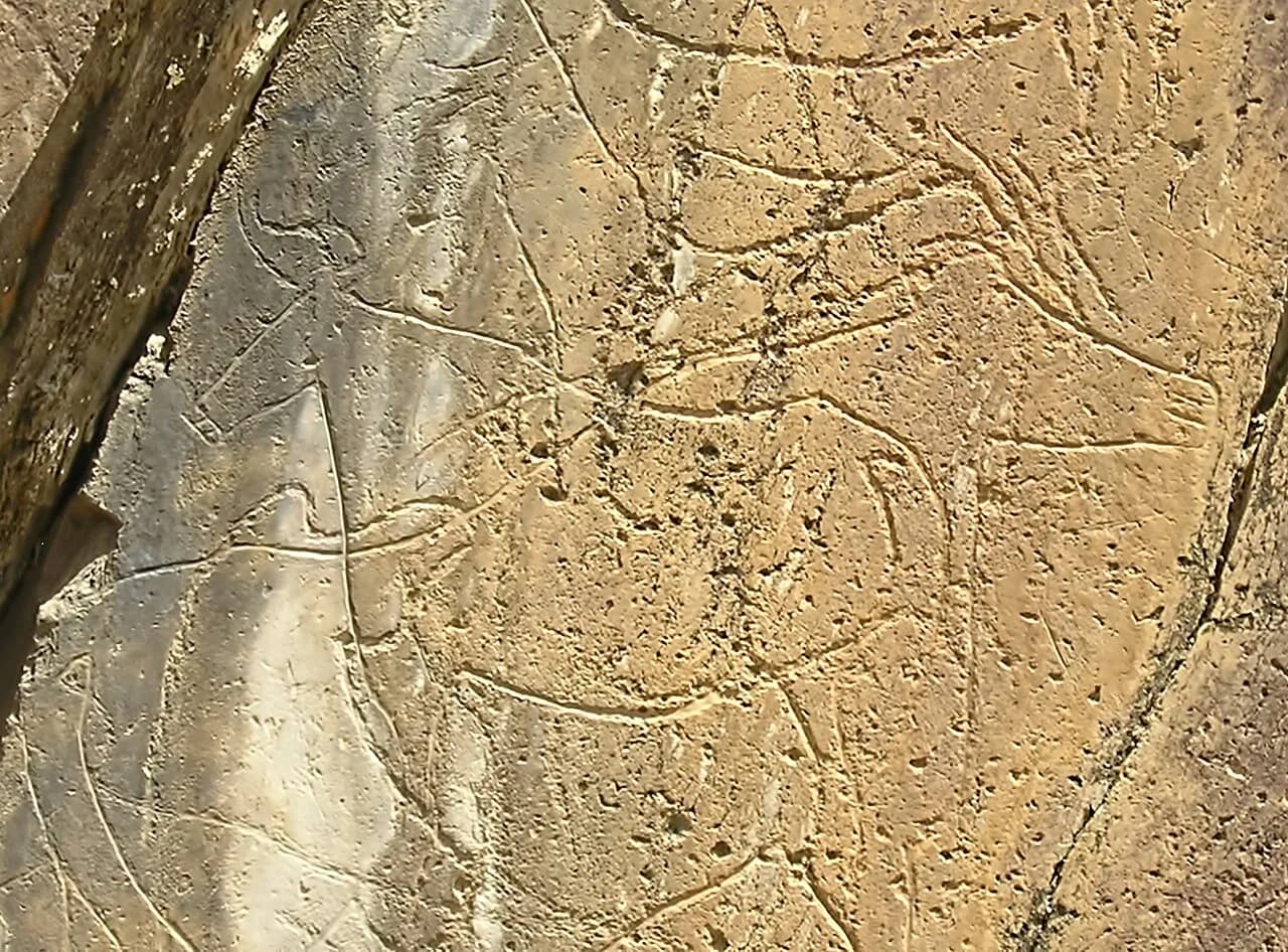 Côa Valley Rock Art: Museum, Guided Visits and Planning a Trip