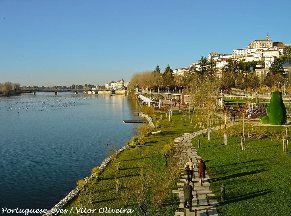 Coimbra Food: What to Eat and Where to Try It