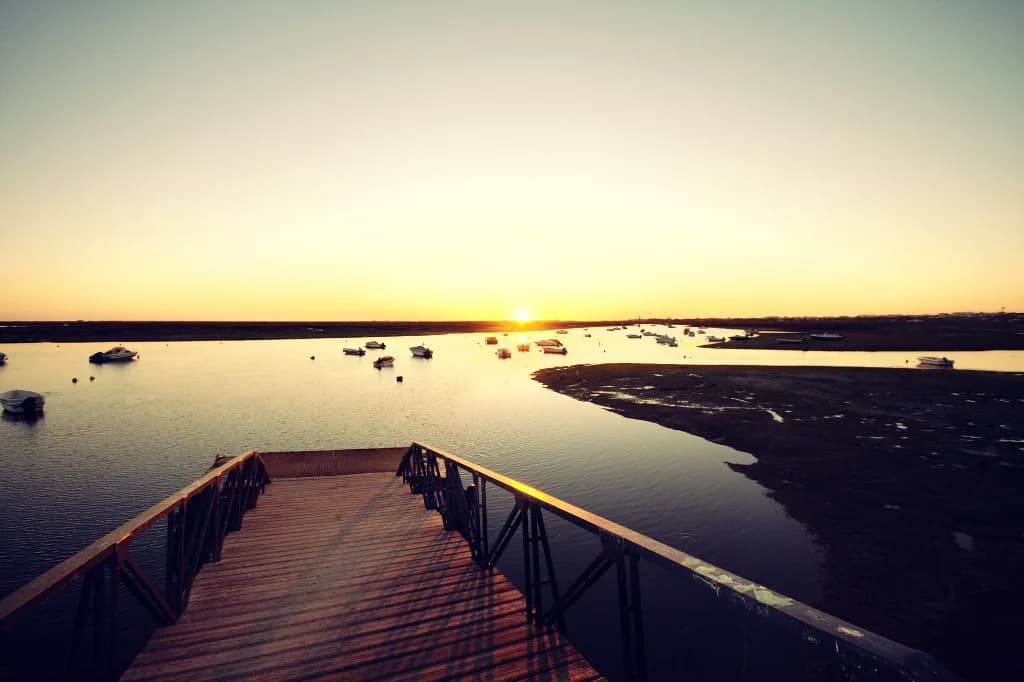 Faro Boat Trips: Ria Formosa Islands, Routes and What to Expect