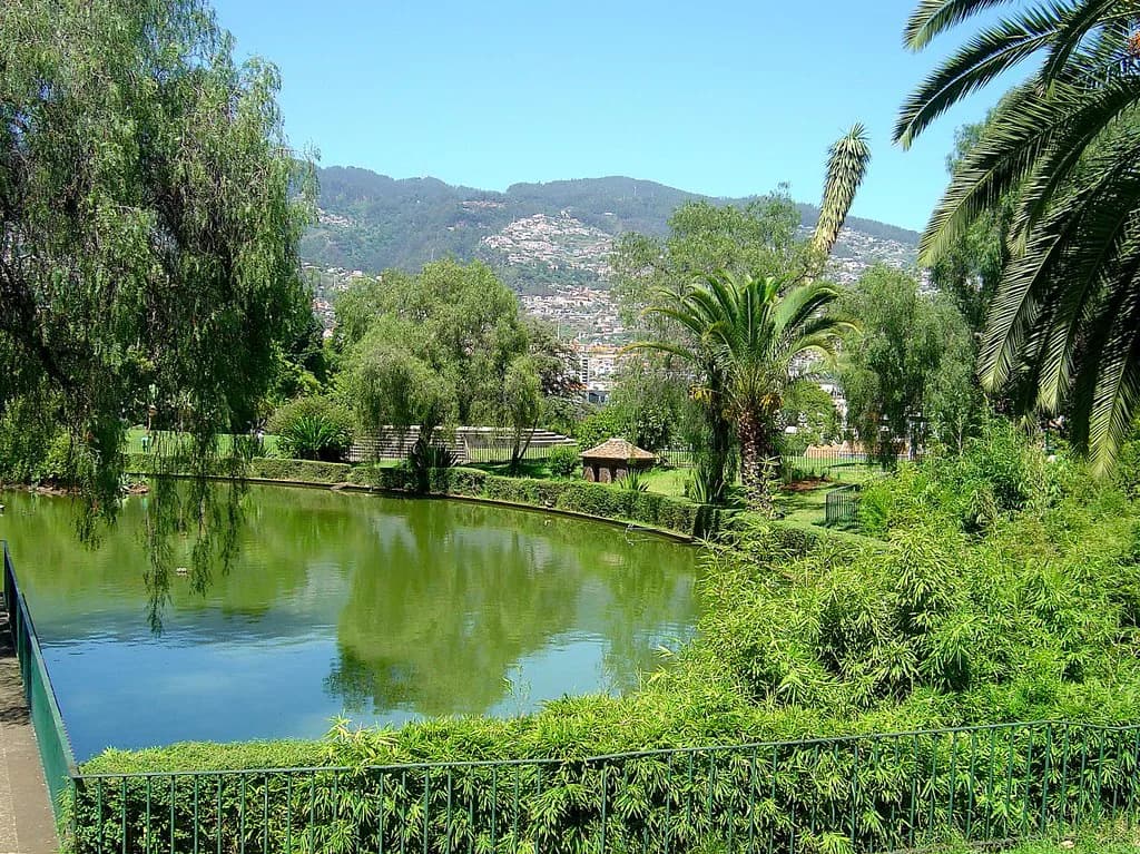 Free Things to Do in Funchal: What Costs Nothing