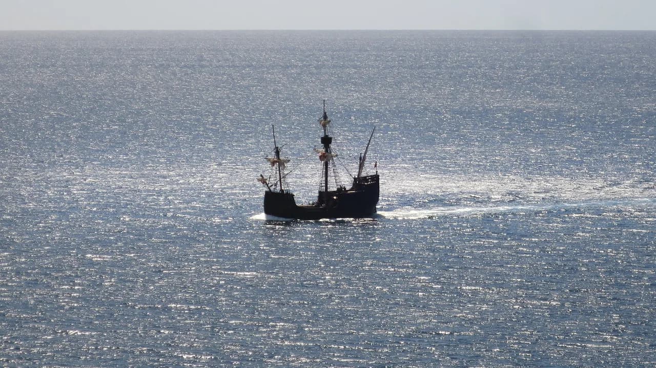 Funchal Dolphin Watching: Boat Trips, Operators and What to Expect