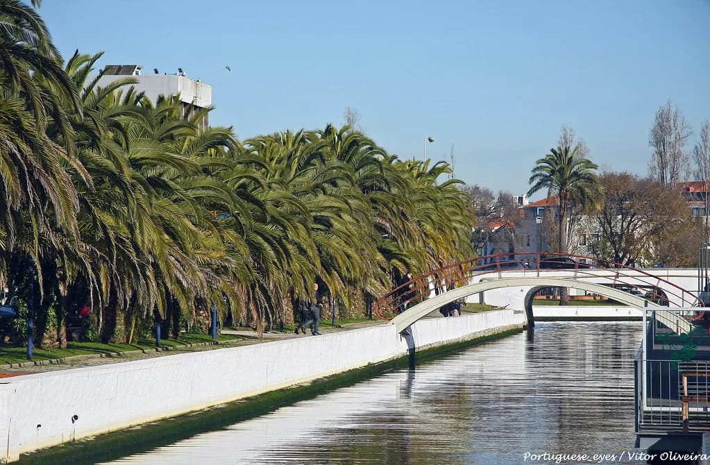 Is Aveiro Worth Visiting? An Honest Answer for a Short Break