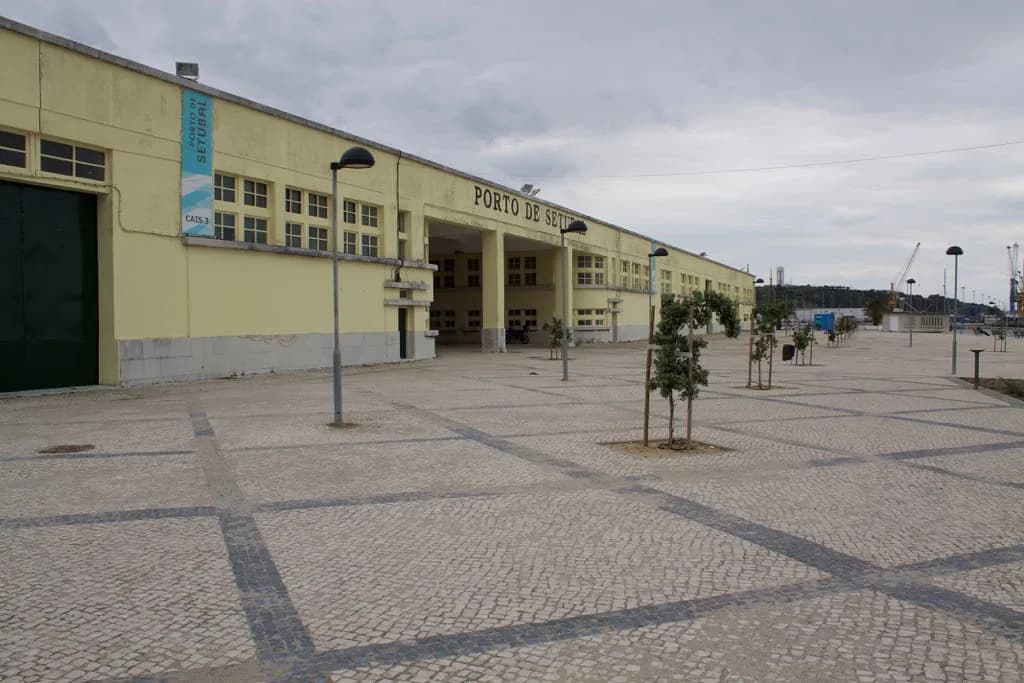 Lisbon to Setúbal: Train, Bus or Car for a Short Break