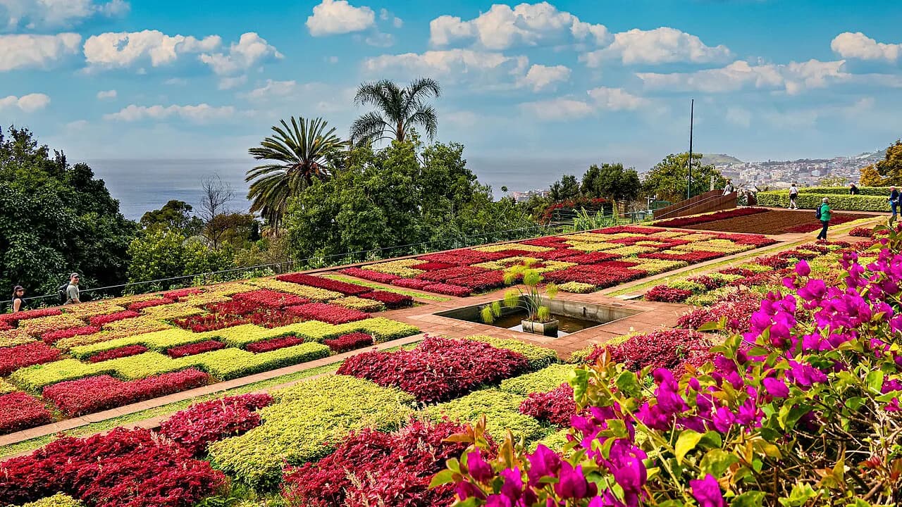 Madeira Botanical Garden: Visiting Funchal's Jardim Botânico