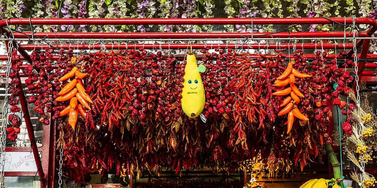 Madeira Food: What to Eat and Where to Try It in Funchal