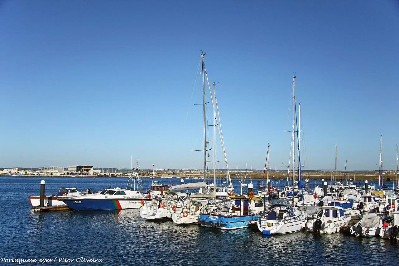 Peniche Market: What's Sold, When It's On and Where to Find It