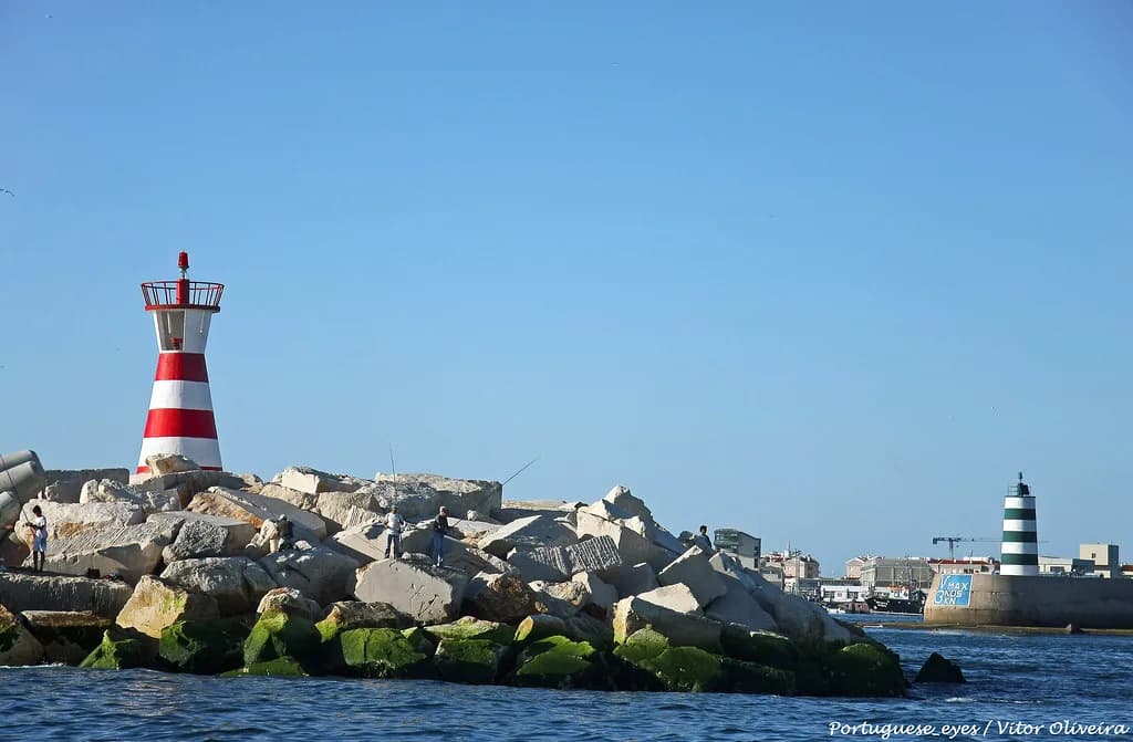 Peniche Port: the Working Fishing Harbour and Its Surroundings