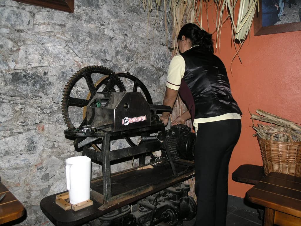 Poncha: Madeira's Cane Spirit Drink Explained