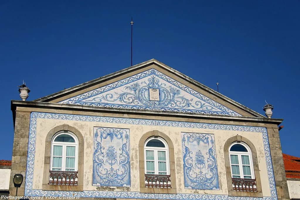 Porto to Aveiro: Train, Bus or Car for a Day Trip