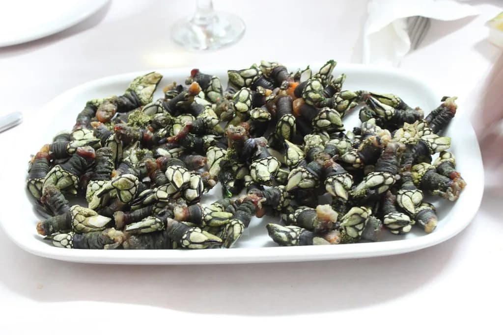 Portuguese Seafood: The Dishes to Order and How to Eat Them