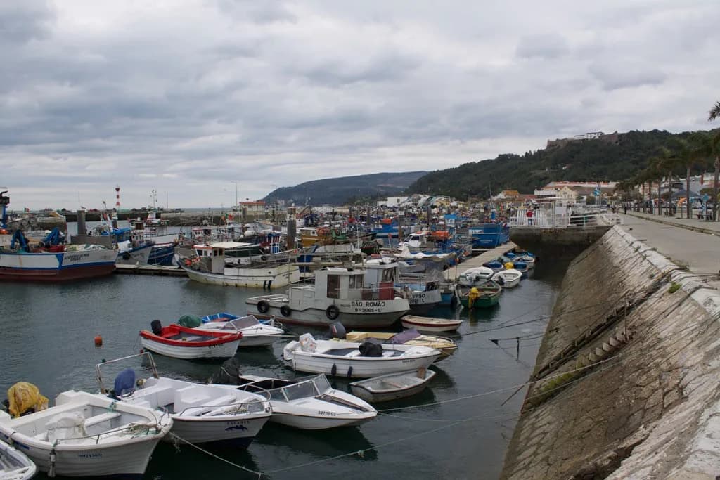 Fish Restaurants in Setúbal: Seafood, Grilled Fish and Cataplana