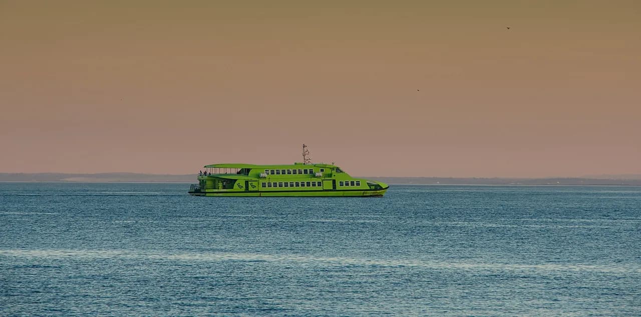 Setúbal Boat Tours: Dolphin Watching and Arrábida Trips