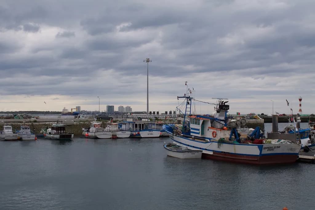 Setúbal Food: What to Eat and Where to Try It