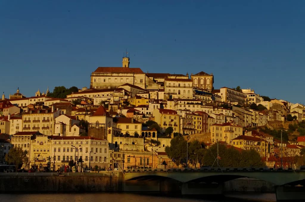 Vegetarian Restaurants in Coimbra: Where to Eat Meat-Free