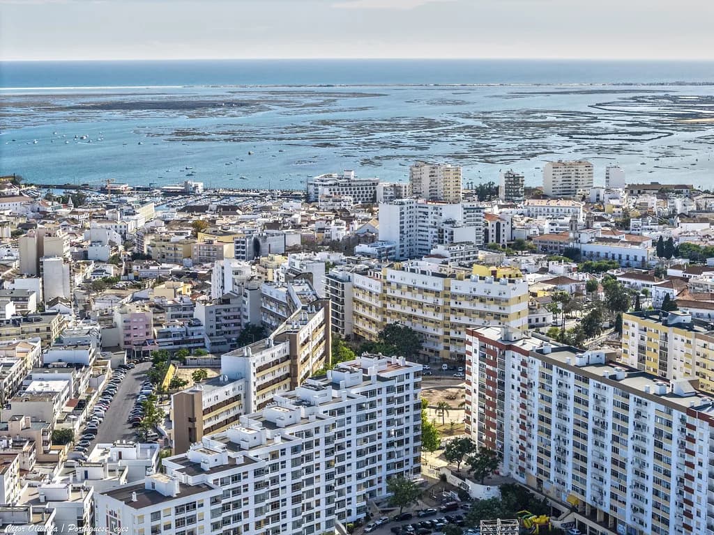Vegetarian Restaurants in Faro: Where to Eat and What to Order