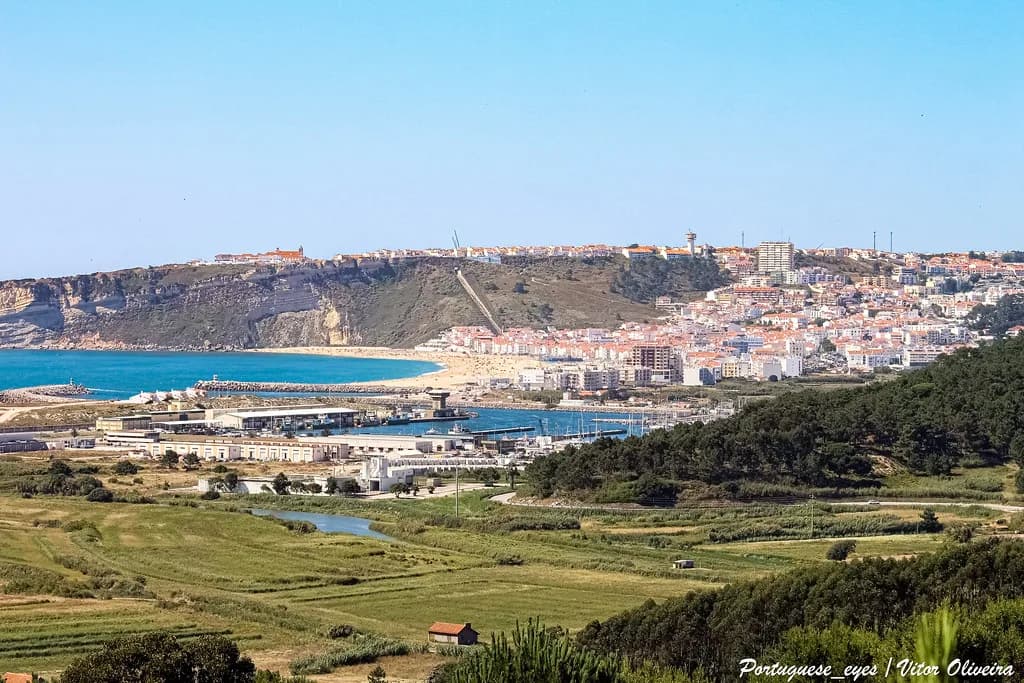 Vegan and Vegetarian Food in Nazaré: A Practical Guide