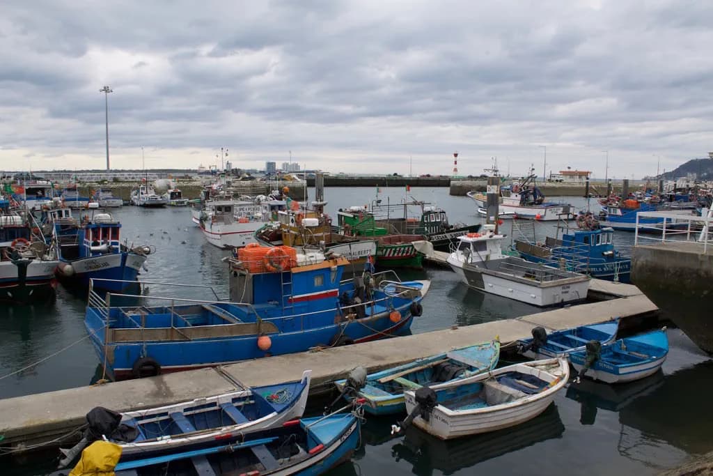 Vegan Setúbal: Where to Eat and How to Order