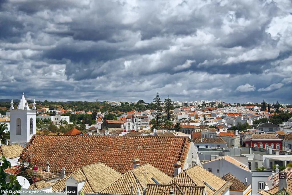 Vegetarian Restaurants in Tavira: Where to Eat Meat-Free