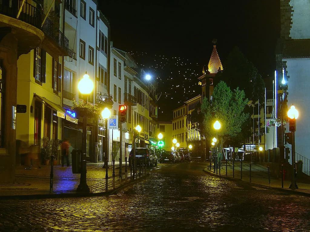 Seafood Restaurants in Funchal: Where to Eat Fish in Madeira