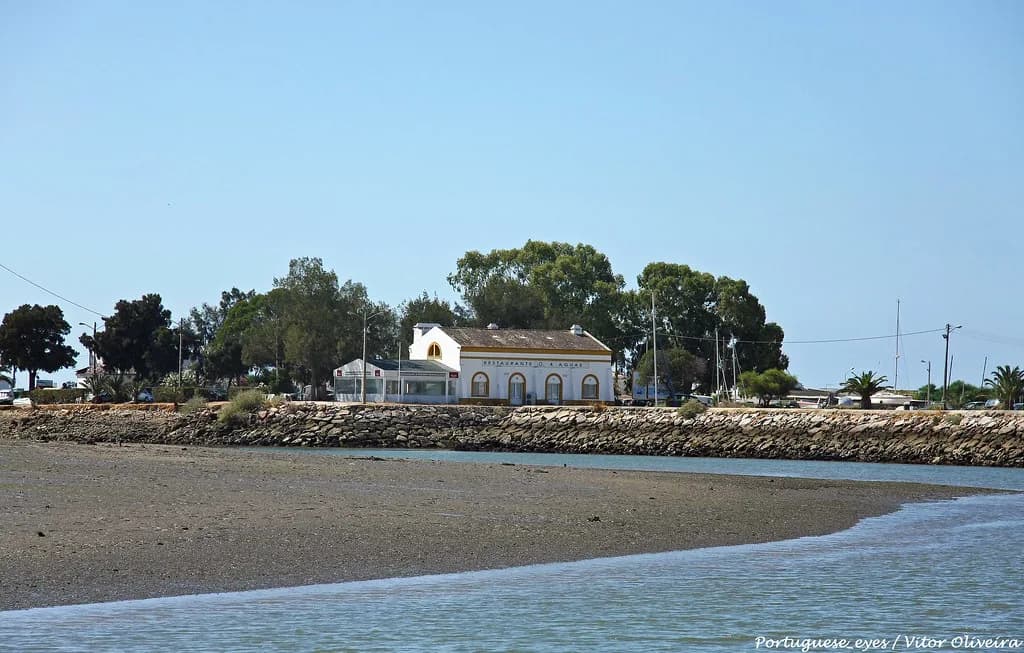 Tavira Boat Trip: Ria Formosa Routes, Operators and Fares