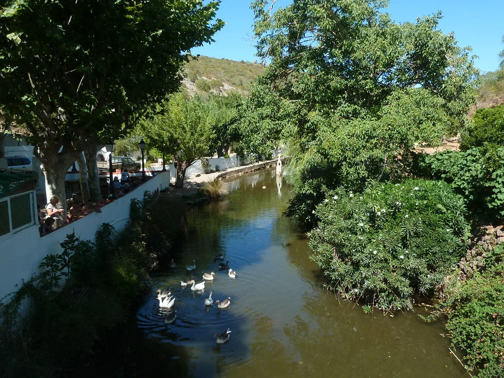 A tree-lined stream with ducks in Alte, in the Algarve.