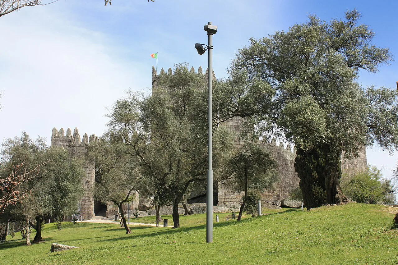 Guimarães Castle seen through olive trees on the surrounding hill.