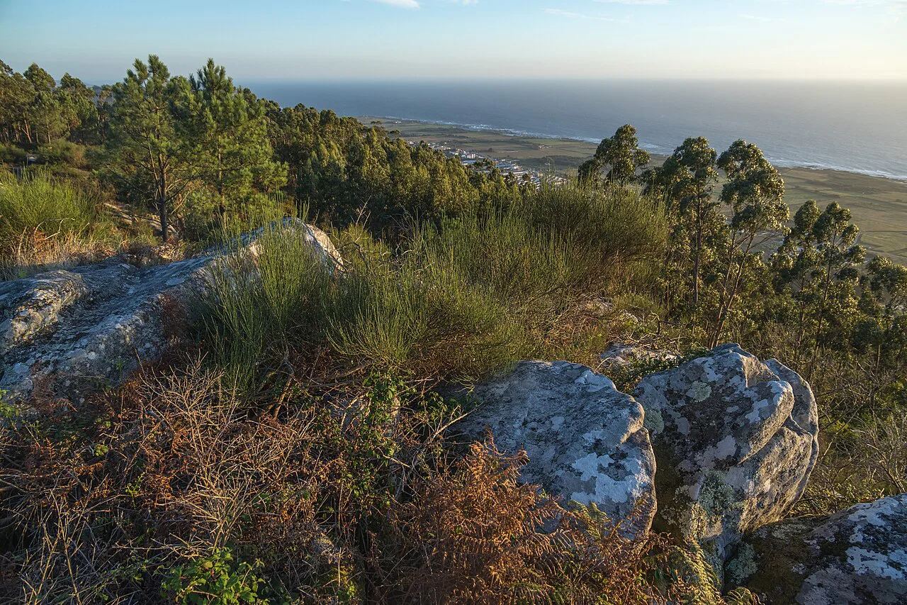 Rocks and pine woods at the Miradouro das Bandeiras in Carreço, Viana do Castelo.