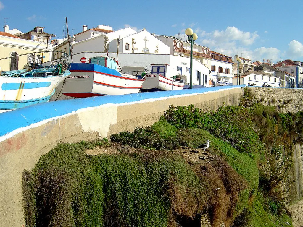 Fishing boats on the seafront above a grassy slope in Ericeira.