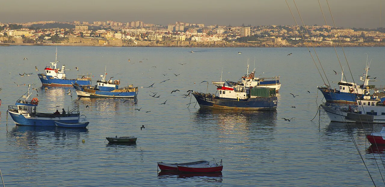 Fishing boats anchored in the Bay of Cascais.