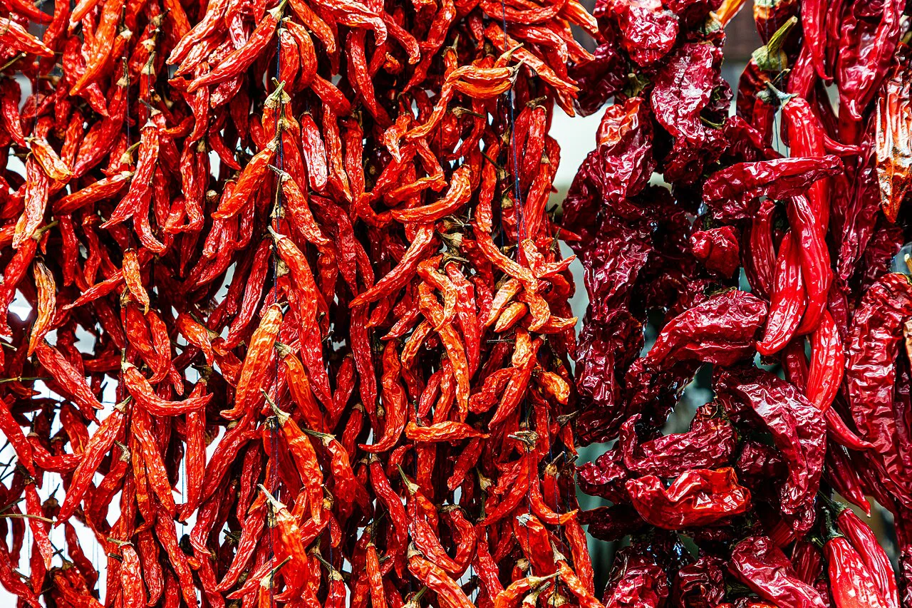 Strings of dried peppers at the Mercado dos Lavradores market hall in Funchal.