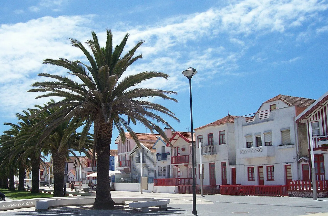 Palm trees and painted houses on the seafront at Costa Nova, near Aveiro.