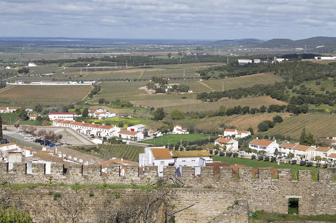 Estremoz and the surrounding Alentejo plain seen from the castle.
