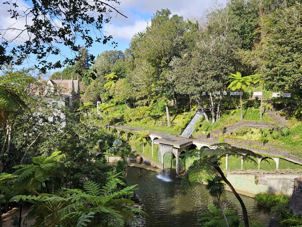 A lake and footbridge among dense greenery at Monte Palace Tropical Garden in Funchal.