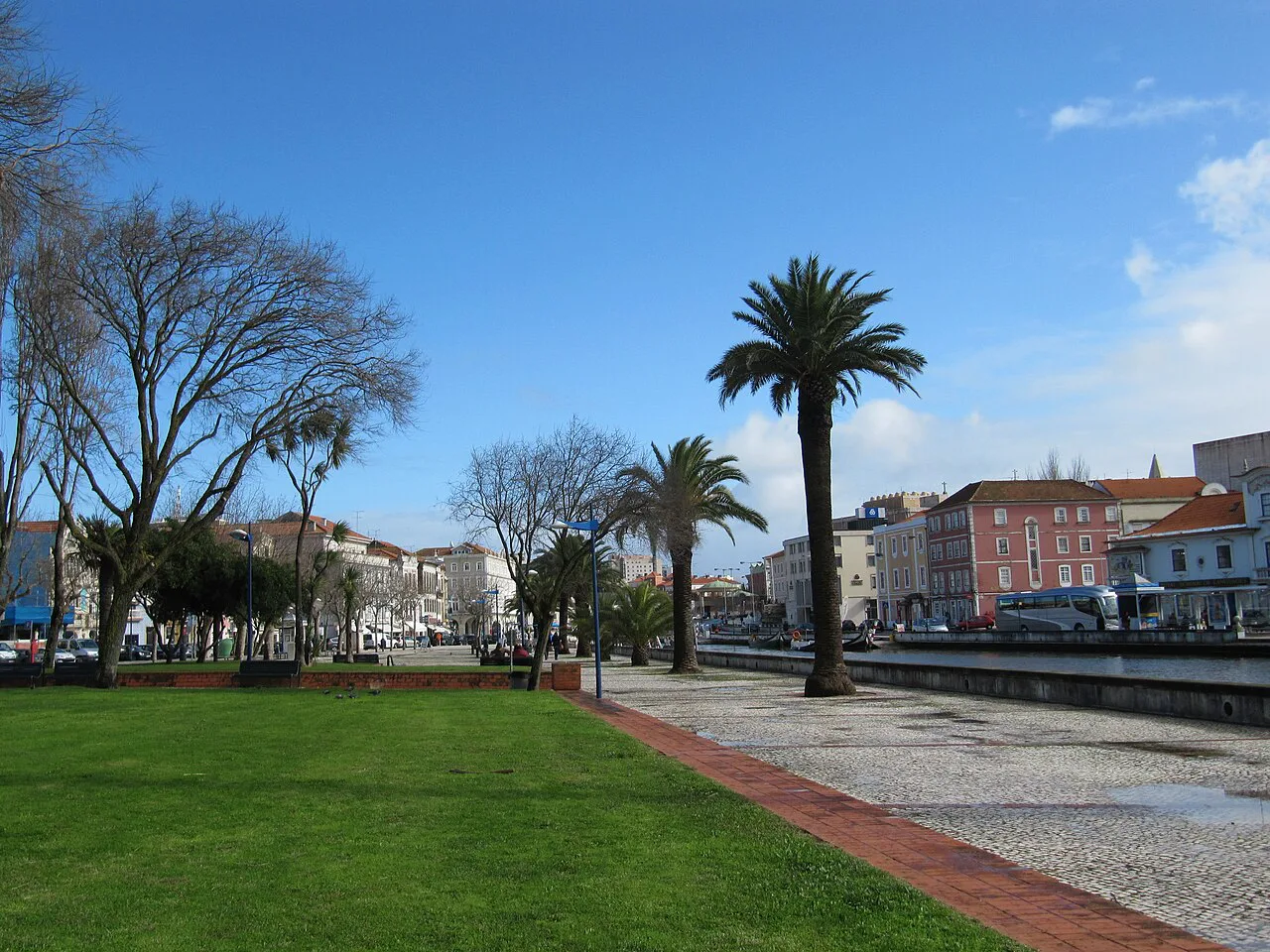 Lawns and palm trees in the Jardim do Rossio in Aveiro.