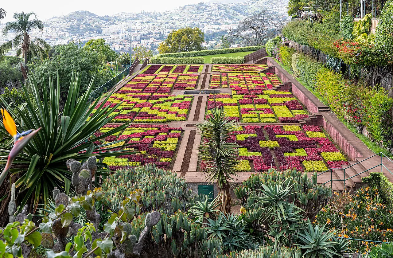Geometric planting and succulents at the Madeira Botanical Garden in Funchal.