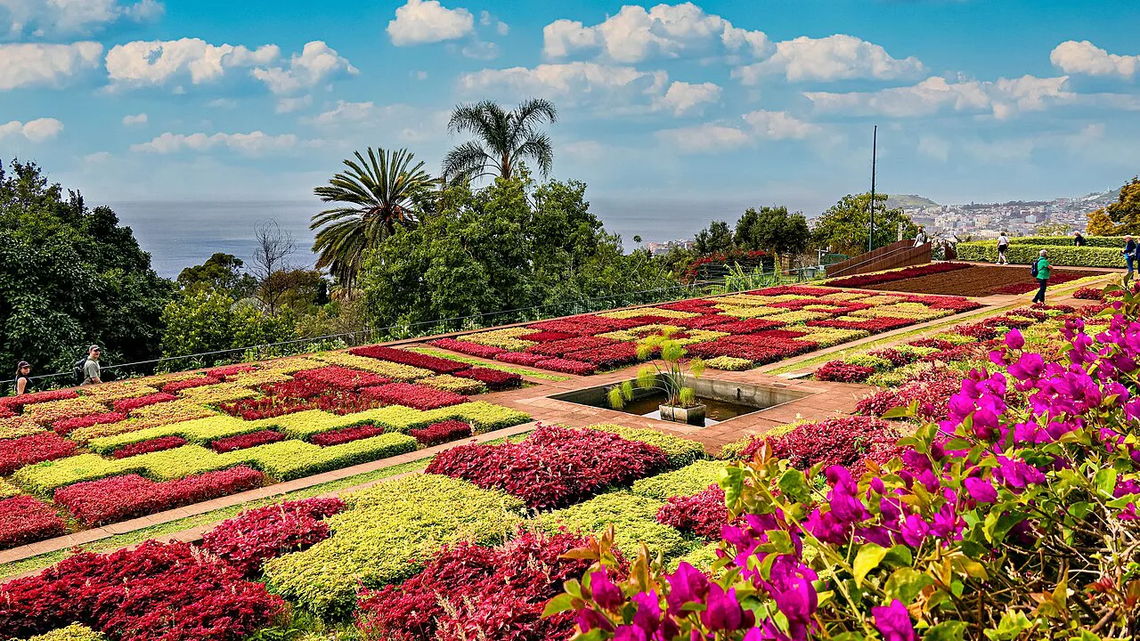 Patterned flower beds in the Madeira Botanical Garden above Funchal.