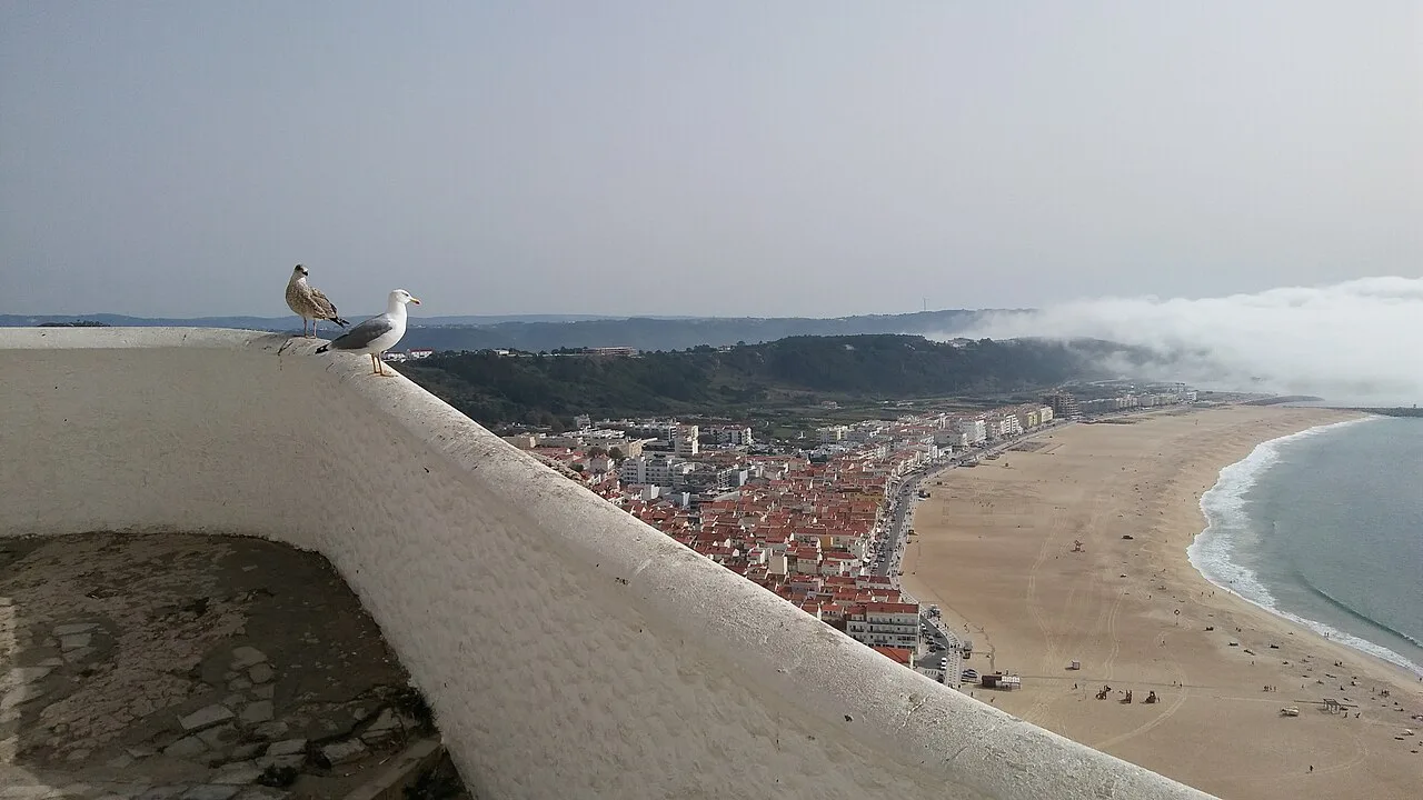 The view over Nazaré's beach and rooftops from the Miradouro do Suberco.