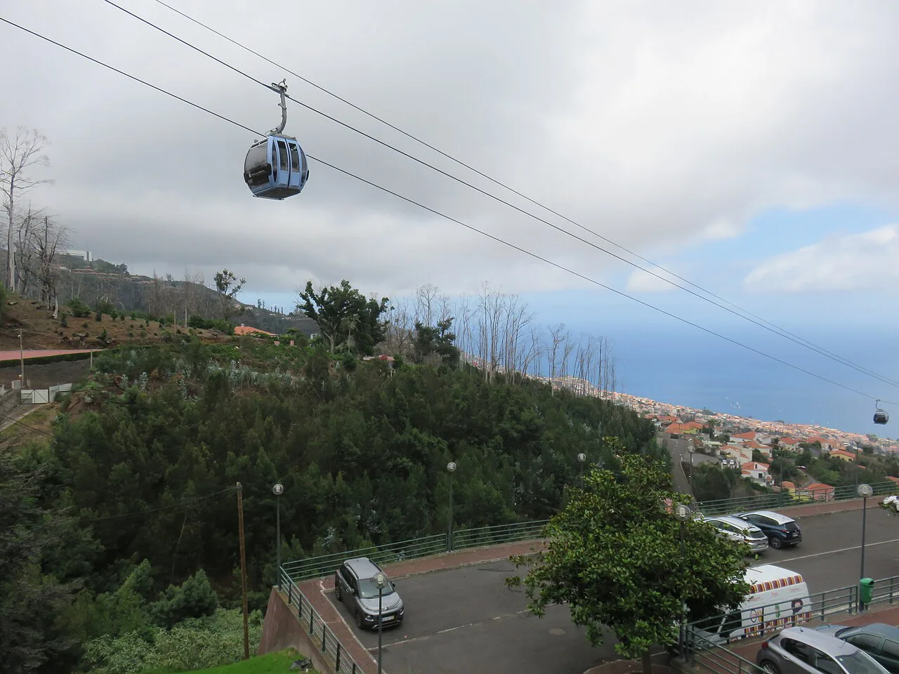 A cable car passing over the wooded hillside near Quinta da Lombada in Monte, above Funchal.