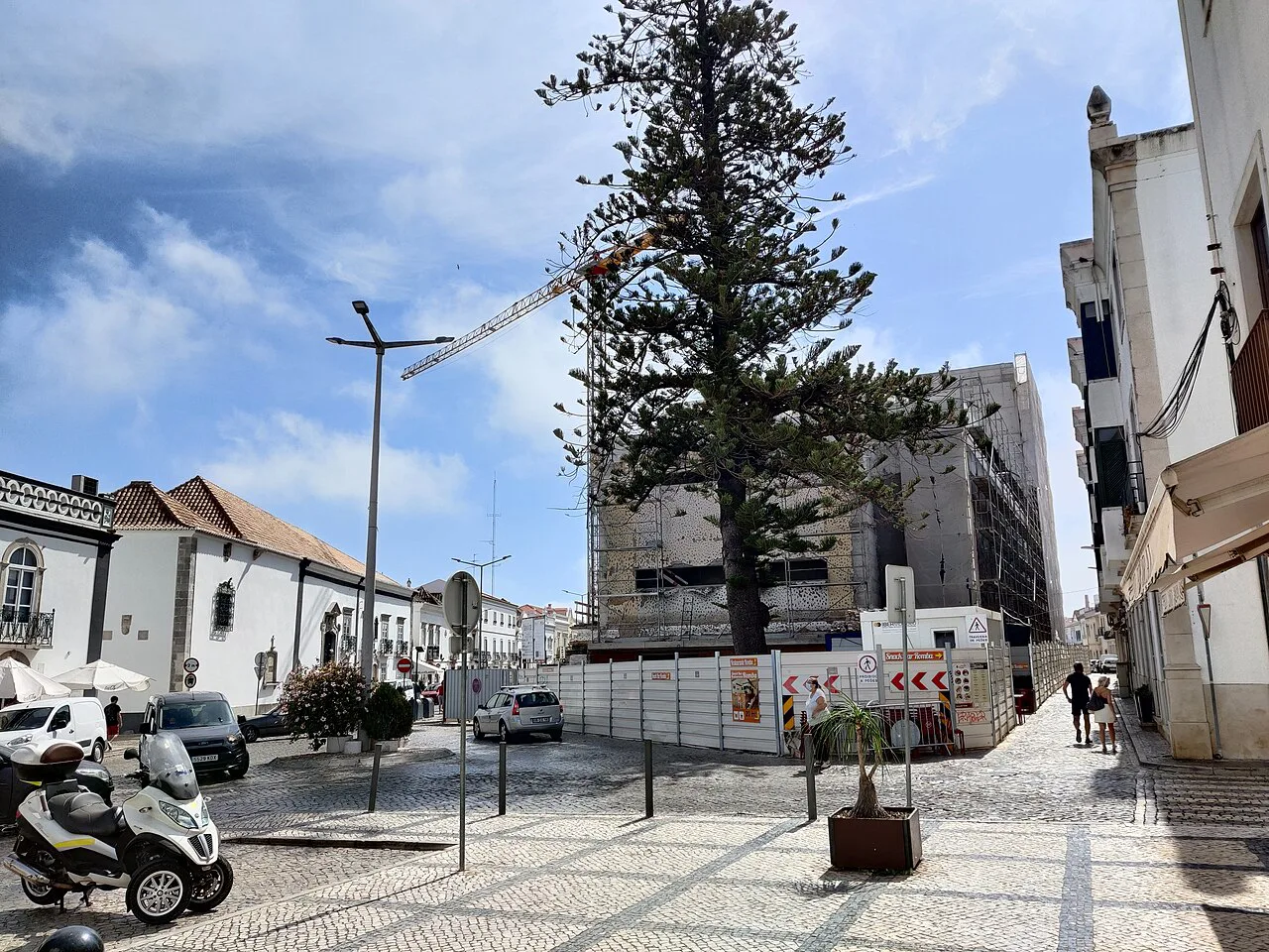A paved square with a tall pine tree in Tavira.