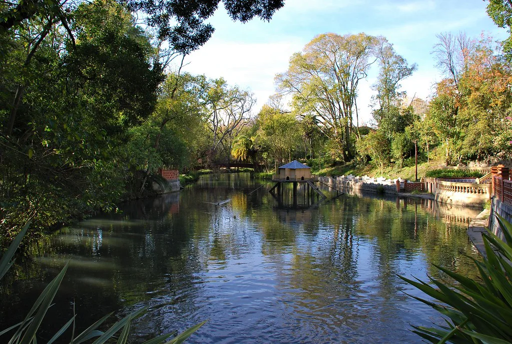 The pond in Parque Infante D. Pedro in Aveiro, framed by trees.