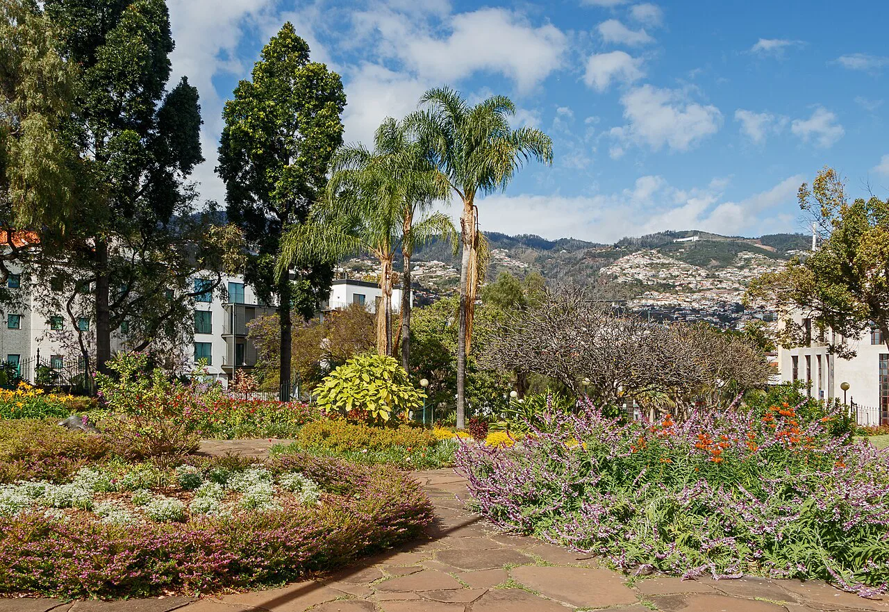 Flower beds and palm trees in Santa Catarina Park, Funchal.