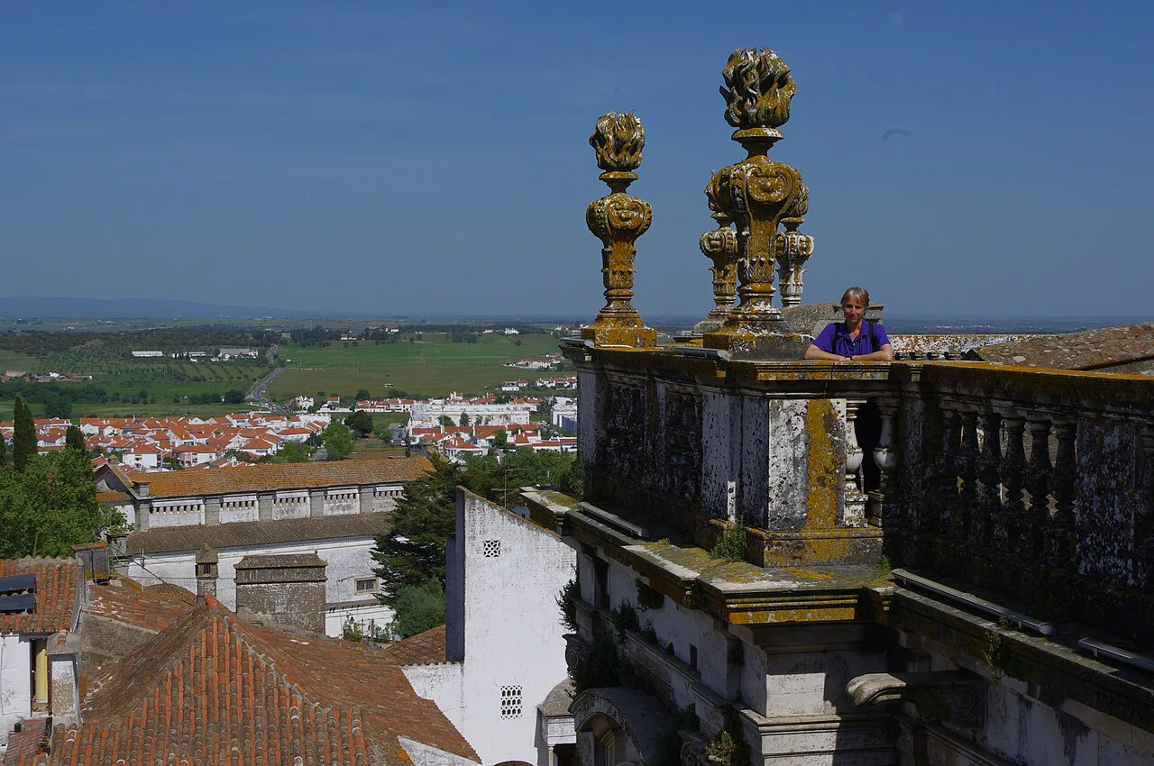 The roof of Évora Cathedral, with views over the town.